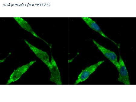 HUABIO ER1802-8 image 2