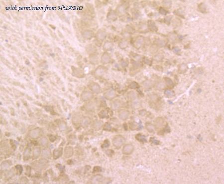 HUABIO ER1802-8 image 3