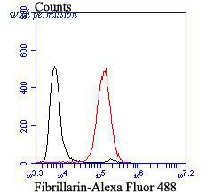 HUABIO ER1802-81 image 2