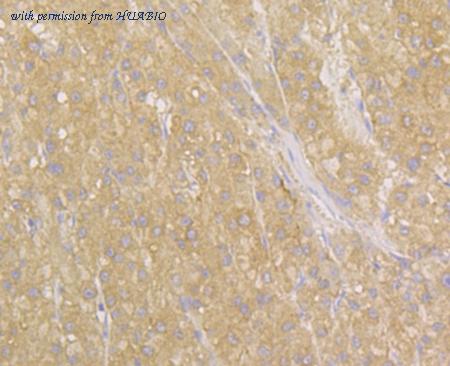 HUABIO ER1802-94 image 3