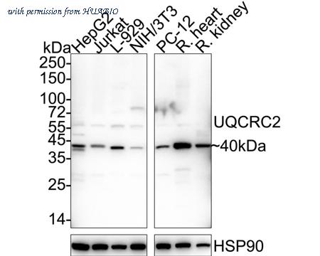 HUABIO ER1803-08 image 1