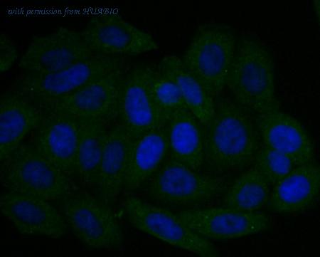 HUABIO ER1803-08 image 2