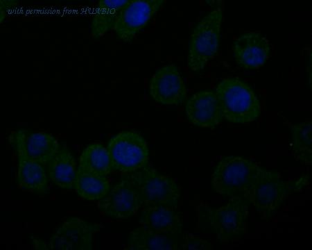 HUABIO ER1803-08 image 3