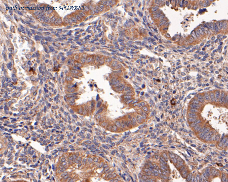 HUABIO ER1803-24 image 3