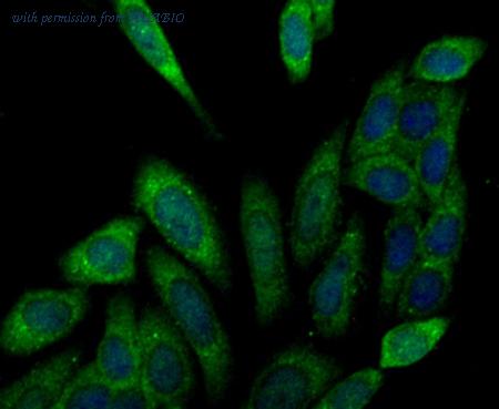 HUABIO ER1803-25 image 3