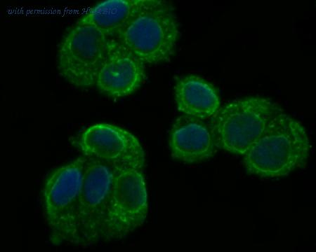 HUABIO ER1803-37 image 2