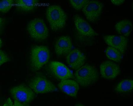 HUABIO ER1803-48 image 3