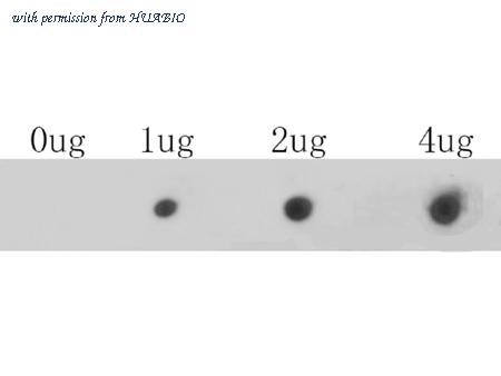 HUABIO ER1803-49 image 1
