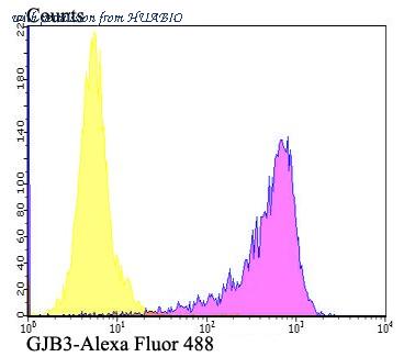 HUABIO ER1803-58 image 2