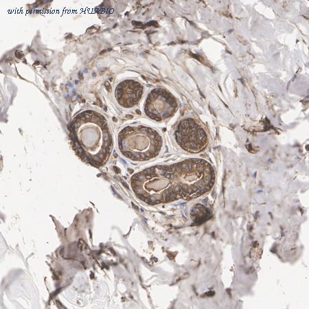 HUABIO ER1803-60 image 2