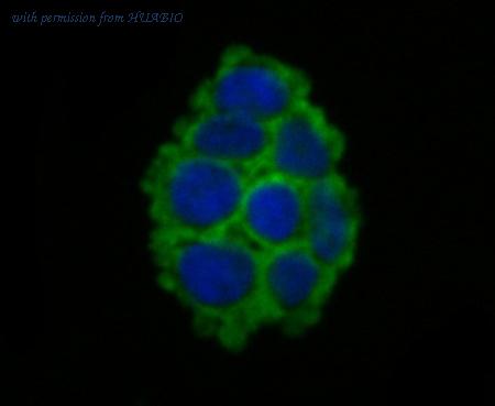 HUABIO ER1803-61 image 2