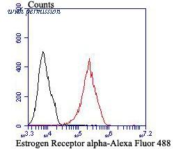 HUABIO ER1803-83 image 2