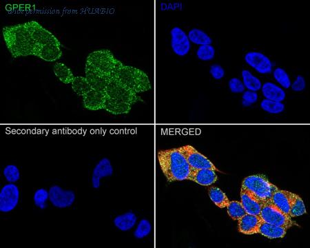 HUABIO ER1803-90 image 3