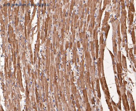 HUABIO ER1901-17 image 2