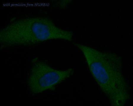 HUABIO ER1901-34 image 2