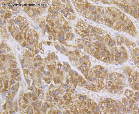 HUABIO ER1901-68 image 2