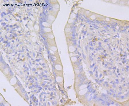 HUABIO ER1901-68 image 3