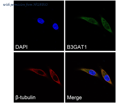 HUABIO ER1901-83 image 2