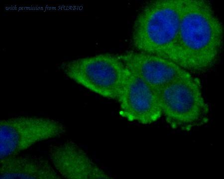 HUABIO ER1901-85 image 2