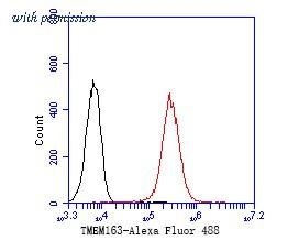 HUABIO ER1901-87 image 3