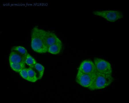 HUABIO ER1902-01 image 2