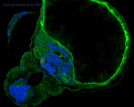 HUABIO ER1902-03 image 1