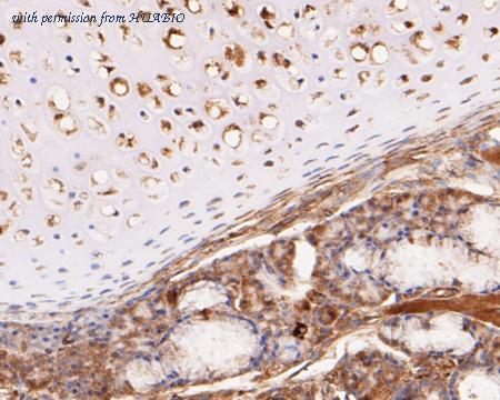 HUABIO ER1902-06 image 2