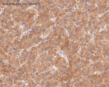 HUABIO ER1902-06 image 3