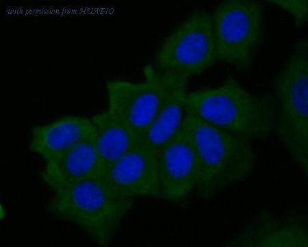 HUABIO ER1902-10 image 2