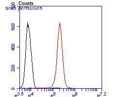 HUABIO ER1902-20 image 2