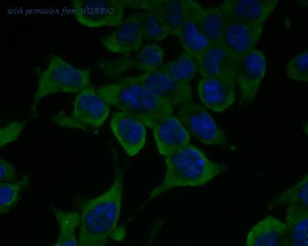 HUABIO ER1902-23 image 2