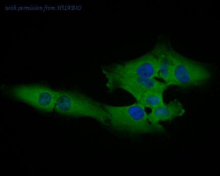 HUABIO ER1902-25 image 2