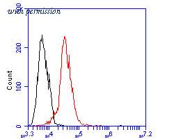 HUABIO ER1902-53 image 3
