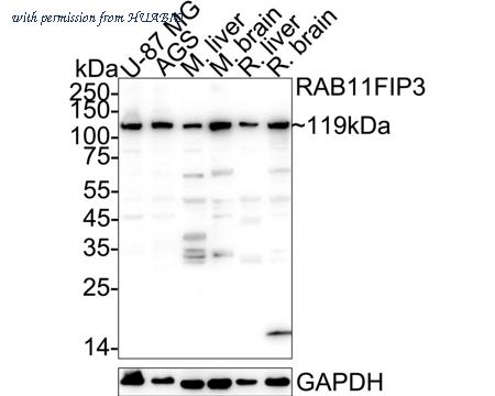 HUABIO ER1902-80 image 1