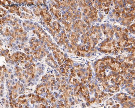 HUABIO ER2001-07 image 2