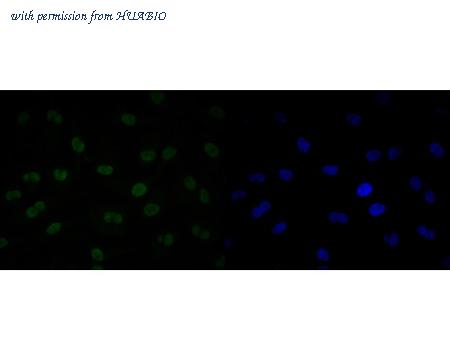 HUABIO ER2001-08 image 2