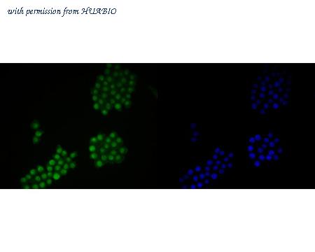 HUABIO ER2001-08 image 3