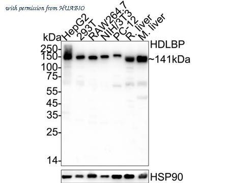 HUABIO ER2001-48 image 1