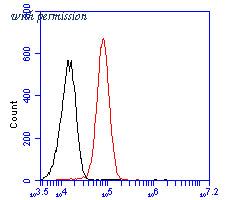 HUABIO ER2001-49 image 2