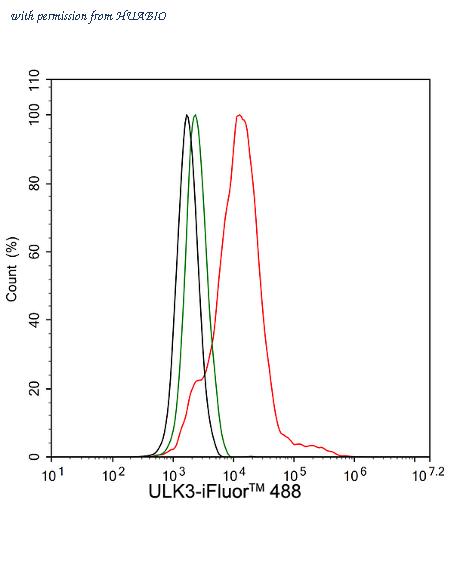 HUABIO ER65265 image 3