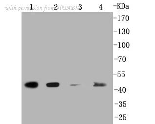 HUABIO ET1602-30 image 2