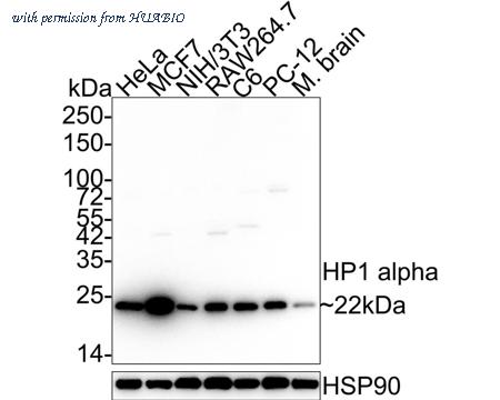 HUABIO ET1602-8 image 1