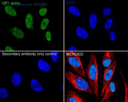 HUABIO ET1602-8 image 2