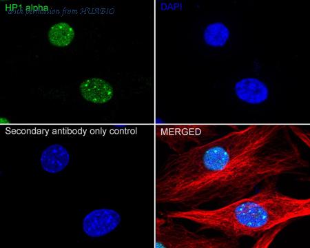 HUABIO ET1602-8 image 3