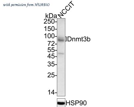 HUABIO ET1605-9 image 1