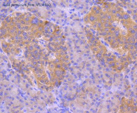 HUABIO ET1608-54 image 3