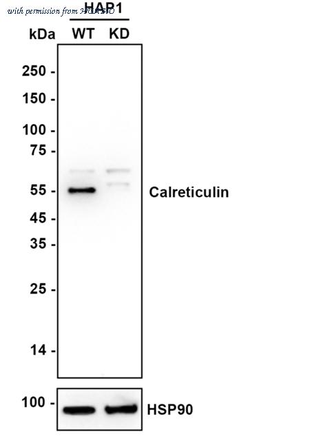 HUABIO ET1608-60-50UL image 2