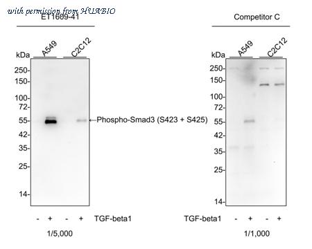 HUABIO ET1609-41 image 1
