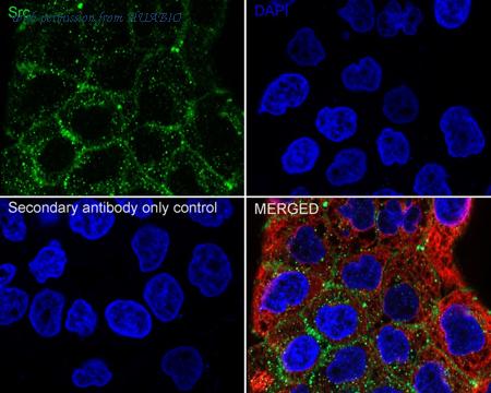 HUABIO ET1609-65 image 3