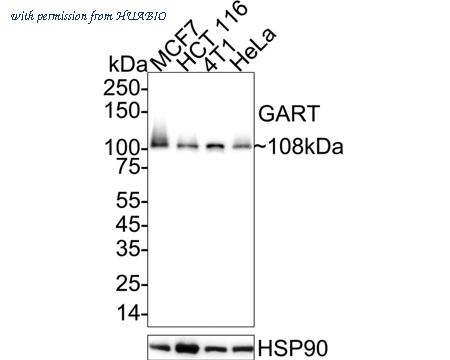 HUABIO ET1610-68 image 1